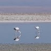 zunilda carmen caceres vera