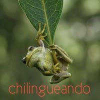 jose chiclana