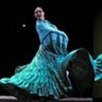 Rosana RomeroFlamencoDancer