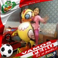 Juan Hernan Sotelo Carrera