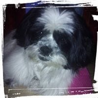 Raquel Guillén Santos