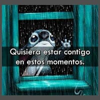 andres contreras