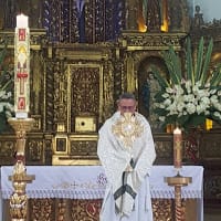 Gustavo Carrillo León