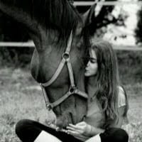 Diana Perfecto
