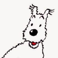 tintin oc