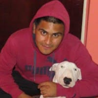 CesarBt Bull