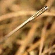 maritata García lopez