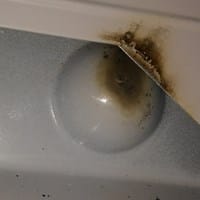 Carolina Electricista