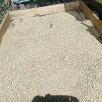 Juan Francisco Hernandez