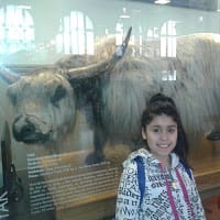 Mily 10