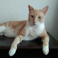 Lita Mabel Muñoz Tuesta LiMabel