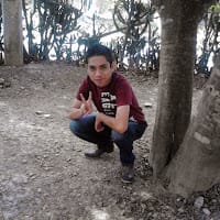 Daniel Mitchel Torres Cruz