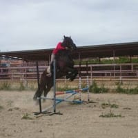 Marco Antonio Fernandez