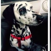 Lorena Martin Párraga