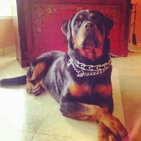 Ángel Pineda Orozco