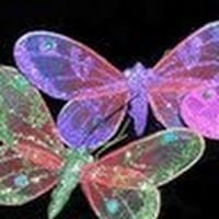 Miguel García Medina