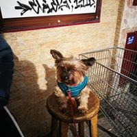 Sergio Castillo Berrocal