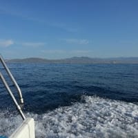 Marco Antonio Green Cota