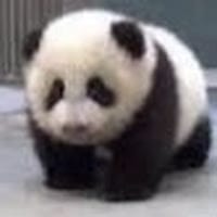 Cristina de los santos vazquez