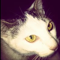 Enrique pastor torres