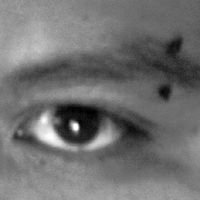 jorgepadillaavelino .