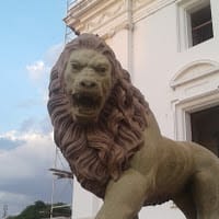 Luis Contreras Vasquez