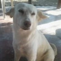 ISABEL SUAREZ VANEGAS  (:-)
