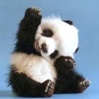 Maielie Katherine Baltazar Ibarra