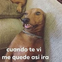 Tu papa