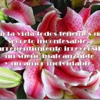 Maria Isabel Sanchez Garcia