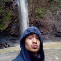 Wicho
