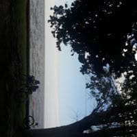 María cristina rolon