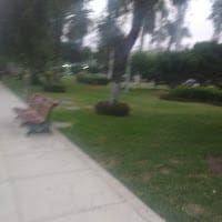 Eduardo Ancasi Bayona