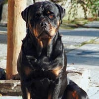 Edgar Enrique Gonzalez Ramos