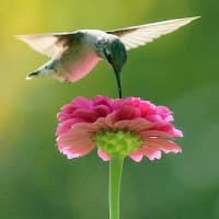 andres barron cervera