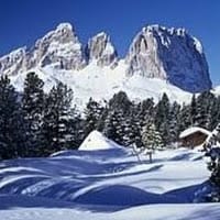 jesus enrique Olivas olivas