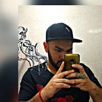 Un Oso Polar