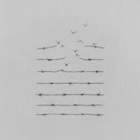 Joaquin Sendra Perez