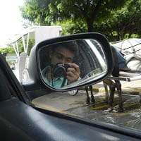 cesar rostran