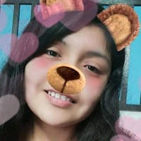 diana carolina saavedra chafio