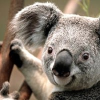 Maderas Sanchez S.L.