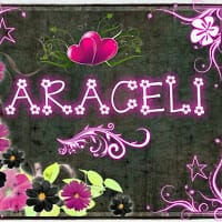 araceli gomez mendoza