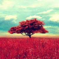 YESSENIA GORETTI BUCAREY JAUREGUI