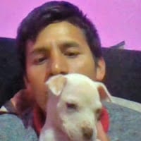 romario alvarez gonzales