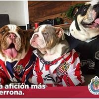 jairo perea