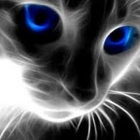 silenteyes luxu