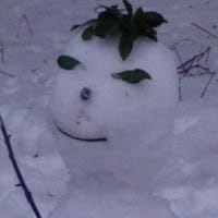 Francisco Hernandez Gimenez