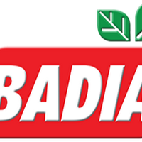 Balbino Navas