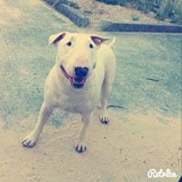 Jonathan Barrios Zamora