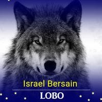 Israel Bersain Renteria Valencia